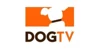 DogTV Logo